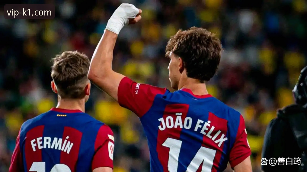 从帕尼切利伤退看体育赛事：在K1娱乐官网官方平台app获取深度信息的实用指南